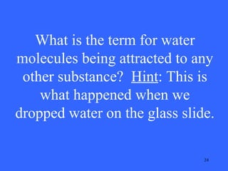 What is the term for water
molecules being attracted to any
other substance? Hint: This is
what happened when we
dropped water on the glass slide.
24

 