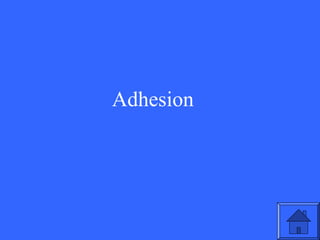 Adhesion

25

 