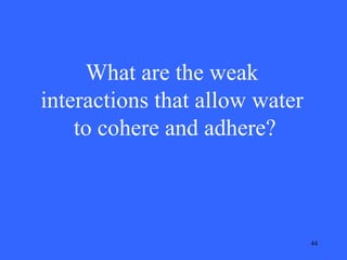 What are the weak
interactions that allow water
to cohere and adhere?

44

 