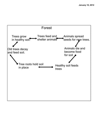 January 10, 2012




                          Forest

   Trees grow          Trees feed and     Animals spread
   in healthy soil.    shelter animals    seeds for new trees.


Old trees decay                            Animals die and
and feed soil.                             become food
                                           for soil


        Tree roots hold soil        Healthy soil feeds
        in place                    trees
 