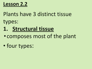 Lesson 2.2
Plants have 3 distinct tissue
types:
1. Structural tissue
• composes most of the plant
• four types:
 
