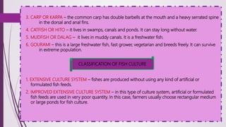 3. CARP OR KARPA – the common carp has double barbells at the mouth and a heavy serrated spine
in the dorsal and anal fins.
4. CATFISH OR HITO – it lives in swamps, canals and ponds. It can stay long without water.
5. MUDFISH OR DALAG – it lives in muddy canals. It is a freshwater fish.
6. GOURAMI – this is a large freshwater fish, fast grower, vegetarian and breeds freely. It can survive
in extreme population.
1. EXTENSIVE CULTURE SYSTEM – fishes are produced without using any kind of artificial or
formulated fish feeds.
2. IMPROVED EXTENSIVE CULTURE SYSTEM – in this type of culture system, artificial or formulated
fish feeds are used in very poor quantity. In this case, farmers usually choose rectangular medium
or large ponds for fish culture.
CLASSIFICATION OF FISH CULTURE
 