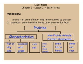 Study Notes
              Chapter 2 - Lesson 2: A Sea of Grass

Vocabulary:

1. prairie - an area of flat or hilly land covered by grasses.
2. predator - an animal that hunts other animals for food.

                         Prairies

                                      How Prairie Animals
  Characteristics
                                      Protect Themselves
flat or   covered       rich     some        some          some
                                 live
hilly     with          soil                 live in       run
                                 under-
land      grass                  ground      herds         fast
 