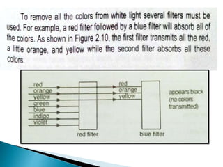 light and sight | PPTX