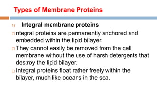 Chapter 2 Membrane proteins and movement accross the cell membrane Lesson 2.pptx
