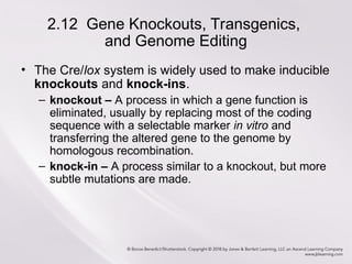 Chapter2_Methods in Molecular Biology and Genetic_41.ppt