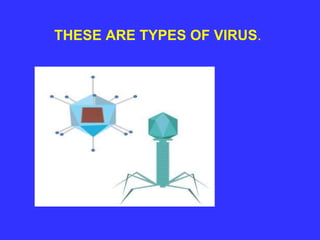 Chapter 2_microorganisms friends and foe_CBSE_Class8 | PPT