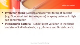Involution Microbio Chapter 2 Morphology and Physiology of Bacteria.pptx