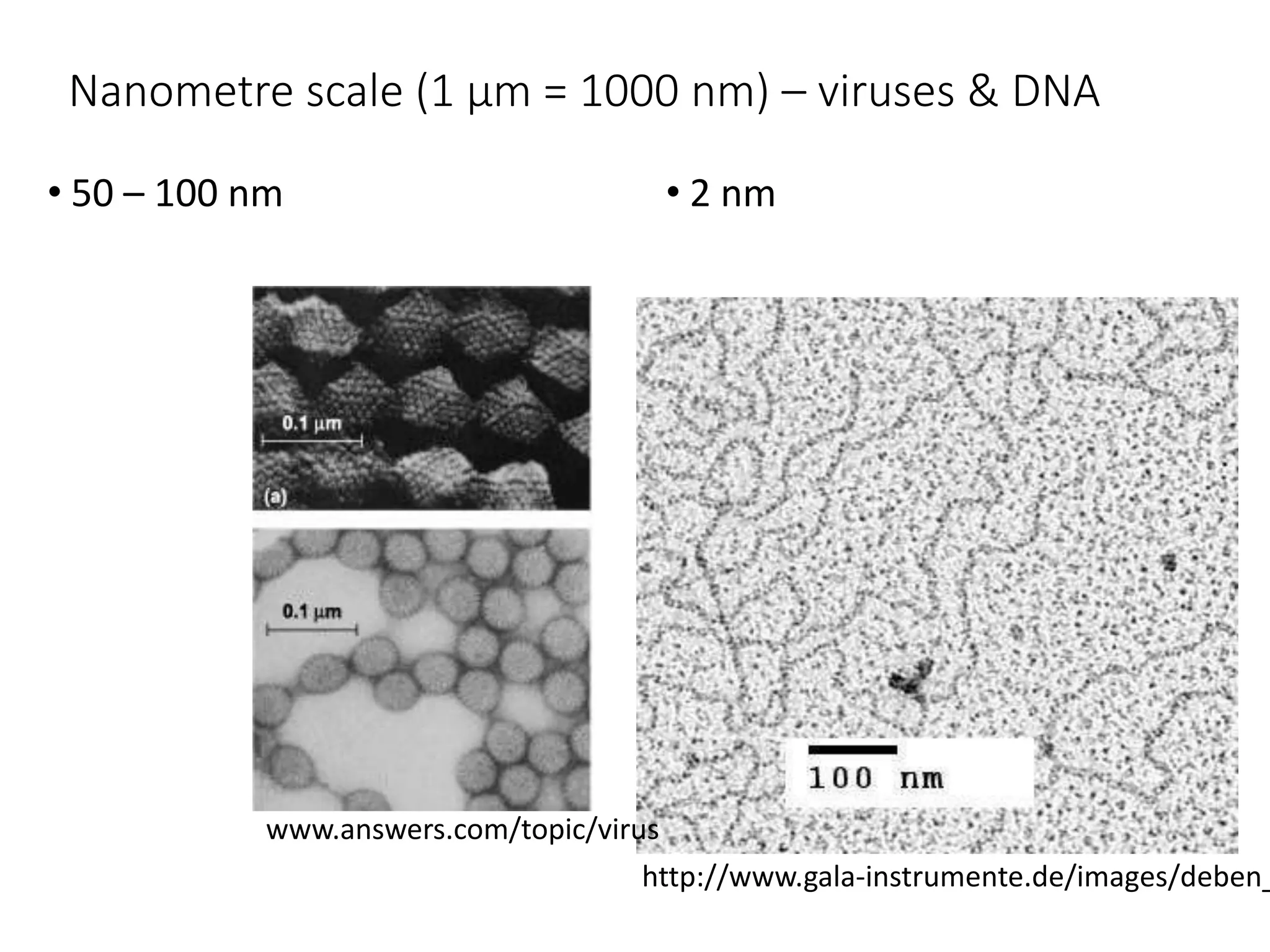 Nanometre scale (1 µm = 1000 nm) – viruses & DNA
• 50 – 100 nm • 2 nm
http://www.gala-instrumente.de/images/deben_
www.answers.com/topic/virus
 