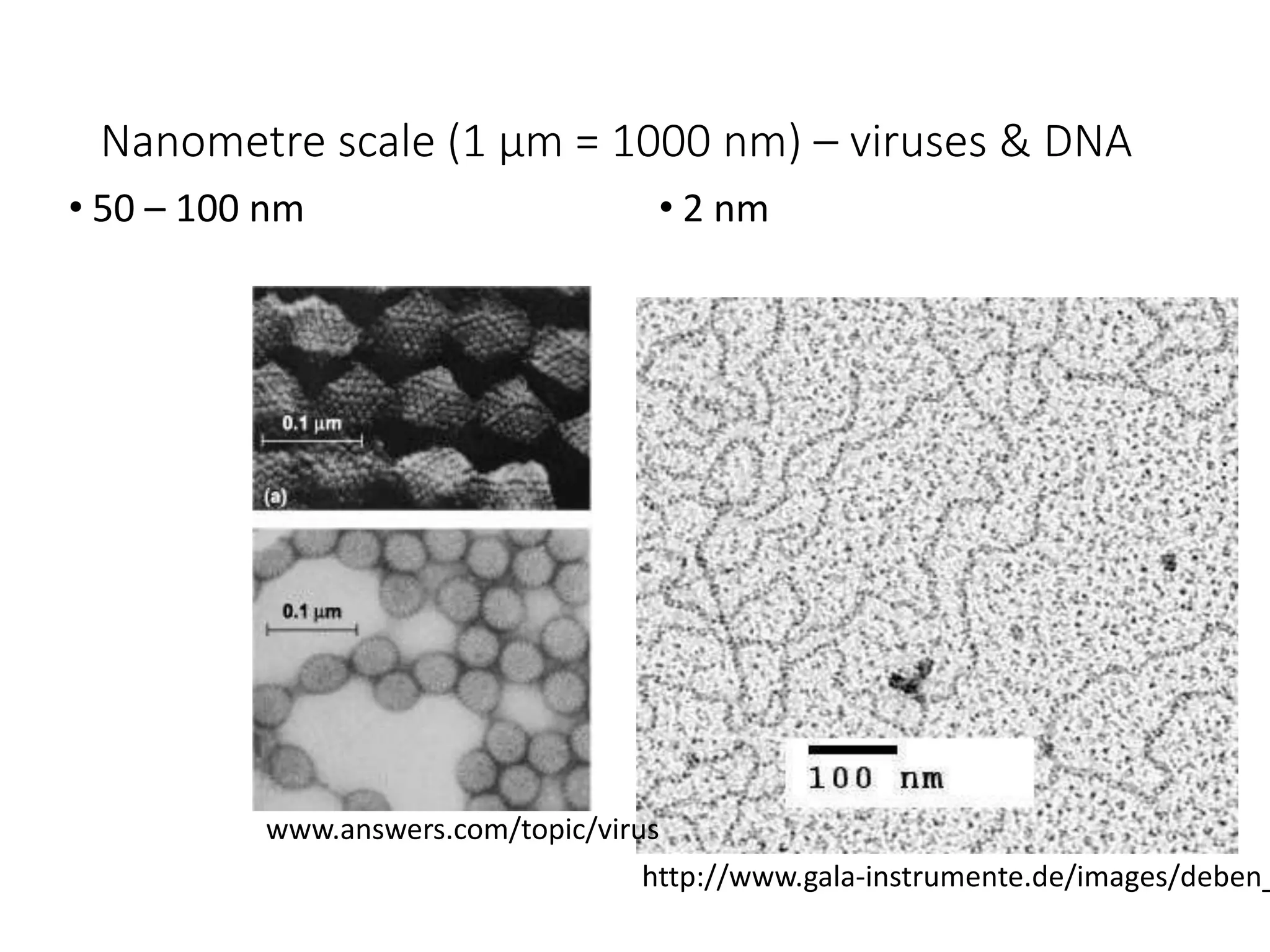 Nanometre scale (1 µm = 1000 nm) – viruses & DNA
• 50 – 100 nm • 2 nm
http://www.gala-instrumente.de/images/deben_
www.answers.com/topic/virus
 
