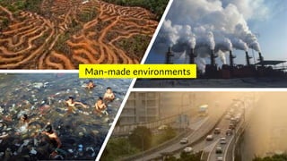 Man-made environments
 