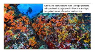 Tubbataha Reefs Natural Park strongly protects
rich coral reef ecosystems in the Coral Triangle,
the global center of marine biodiversity
 