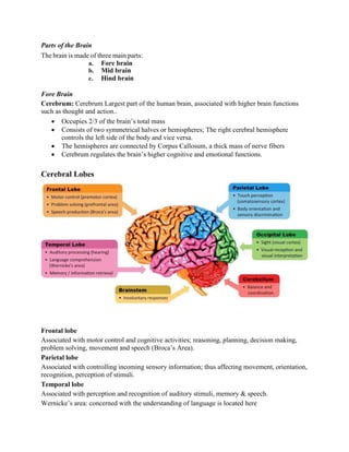 Parts of the Brain
The brain is made of three main parts:
a. Fore brain
b. Mid brain
c. Hind brain
Fore Brain
Cerebrum: Cerebrum Largest part of the human brain, associated with higher brain functions
such as thought and action..
 Occupies 2/3 of the brain’s total mass
 Consists of two symmetrical halves or hemispheres; The right cerebral hemisphere
controls the left side of the body and vice versa.
 The hemispheres are connected by Corpus Callosum, a thick mass of nerve fibers
 Cerebrum regulates the brain’s higher cognitive and emotional functions.
Cerebral Lobes
Frontal lobe
Associated with motor control and cognitive activities; reasoning, planning, decision making,
problem solving, movement and speech (Broca’s Area).
Parietal lobe
Associated with controlling incoming sensory information; thus affecting movement, orientation,
recognition, perception of stimuli.
Temporal lobe
Associated with perception and recognition of auditory stimuli, memory & speech.
Wernicke’s area: concerned with the understanding of language is located here
 