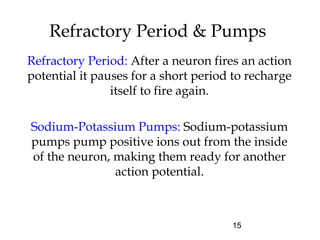 15
Refractory Period & Pumps
Refractory Period: After a neuron fires an action
potential it pauses for a short period to recharge
itself to fire again.
Sodium-Potassium Pumps: Sodium-potassium
pumps pump positive ions out from the inside
of the neuron, making them ready for another
action potential.
 