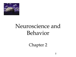 2
Neuroscience and
Behavior
Chapter 2
 