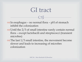 GI tract

 In esophagus – no normal flora – pH of stomach
inhibit the colonization
 Until the 2/3 of small intestine ra...