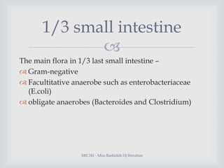 1/3 small intestine

The main flora in 1/3 last small intestine –
 Gram-negative
 Facultitative anaerobe such as entero...