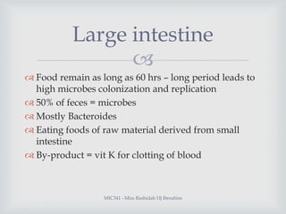 Large intestine

 Food remain as long as 60 hrs – long period leads to
high microbes colonization and replication
 50% ...