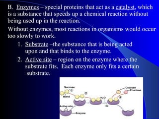 B.  Enzymes  – special proteins that act as a  catalyst , which is a substance that speeds up a chemical reaction without being used up in the reaction. Without enzymes, most reactions in organisms would occur too slowly to work. 1.  Substrate  –the substance that is being acted    upon and that binds to the enzyme. 2.  Active site  – region on the enzyme where the      substrate fits.  Each enzyme only fits a certain      substrate. 