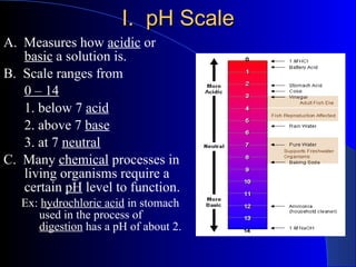 I.  pH Scale A.  Measures how  acidic  or  basic  a solution is. B.  Scale ranges from  0 – 14 1. below 7  acid 2. above 7  base 3. at 7  neutral   C.  Many  chemical  processes in living organisms require a certain  pH  level to function. Ex:  hydrochloric acid  in stomach used in the process of  digestion  has a pH of about 2. 