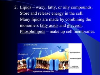 2.  Lipids  – waxy, fatty, or oily compounds.   Store and release  energy  in the cell.   Many lipids are made by combining the    monomers  fatty acids  and  glycerol .   Phospholipids  – make up cell membranes. 