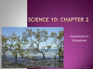 Interactions in
  Ecosystems




            1
 