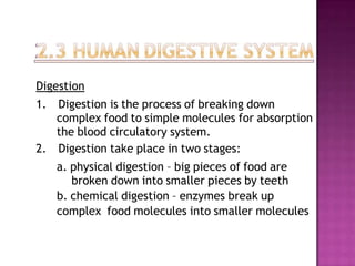 Digestion
1. Digestion is the process of breaking down
   complex food to simple molecules for absorption
   the blood circulatory system.
2. Digestion take place in two stages:
   a. physical digestion – big pieces of food are
      broken down into smaller pieces by teeth
   b. chemical digestion – enzymes break up
   complex food molecules into smaller molecules
 