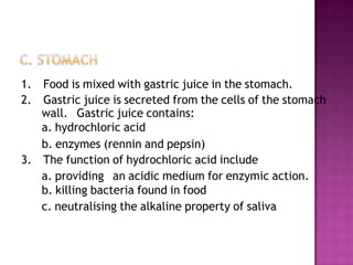 1. Food is mixed with gastric juice in the stomach.
2. Gastric juice is secreted from the cells of the stomach
   wall. Gastric juice contains:
   a. hydrochloric acid
   b. enzymes (rennin and pepsin)
3. The function of hydrochloric acid include
   a. providing an acidic medium for enzymic action.
   b. killing bacteria found in food
   c. neutralising the alkaline property of saliva
 