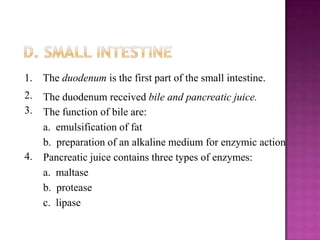 1. The duodenum is the first part of the small intestine.
2. The duodenum received bile and pancreatic juice.
3. The function of bile are:
   a. emulsification of fat
   b. preparation of an alkaline medium for enzymic action
4. Pancreatic juice contains three types of enzymes:
   a. maltase
   b. protease
   c. lipase
 