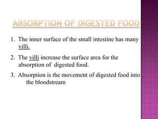 1. The inner surface of the small intestine has many
   villi.
2. The villi increase the surface area for the
   absorption of digested food.
3. Absorption is the movement of digested food into
     the bloodstream
 