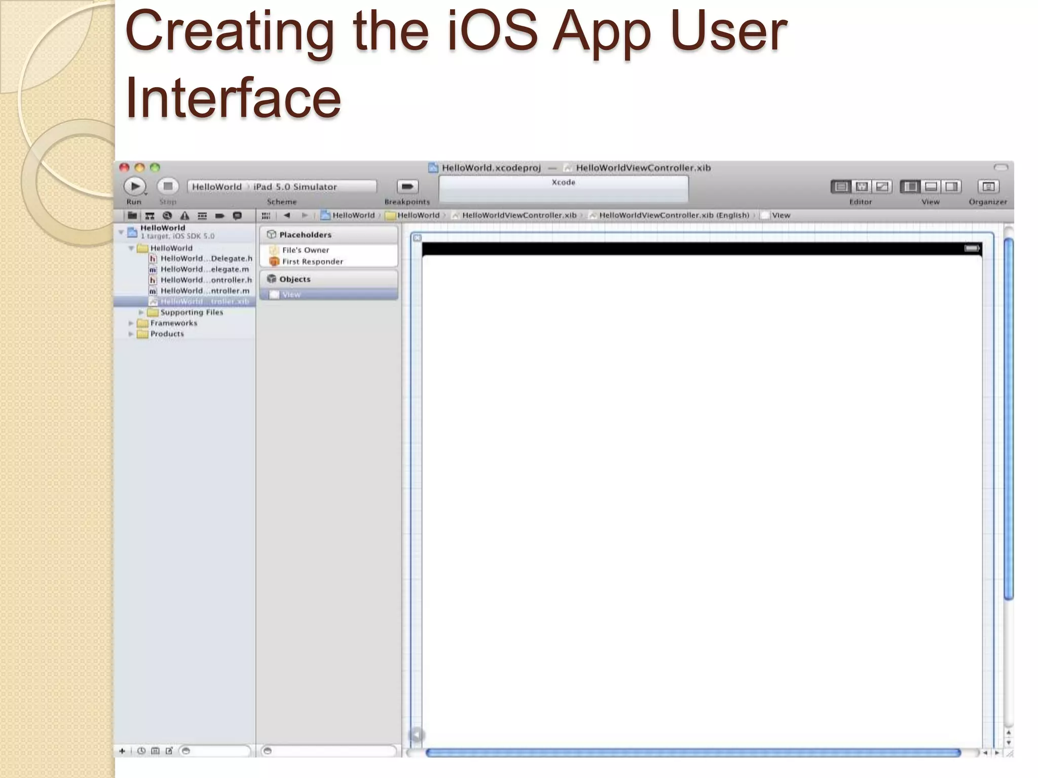 Creating the iOS App User
Interface
 
