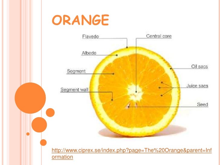 Chapter 2 observation orange