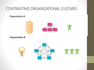 CONTRASTING ORGANIZATIONAL CULTURES
 