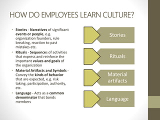 HOW DO EMPLOYEES LEARN CULTURE?
• Stories - Narratives of significant
events or people, e.g.
organization founders, rule
breaking, reaction to past
mistakes etc.
• Rituals - Sequences of activities
that express and reinforce the
important values and goals of
the organization
• Material Artifacts and Symbols -
Convey the kinds of behavior
that are expected, e.g. risk
taking, participation, authority,
etc.
• Language - Acts as a common
denominator that bonds
members
Stories
Rituals
Material
artifacts
Language
 