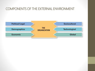 COMPONENTS OF THE EXTERNAL ENVIRONMENT
 