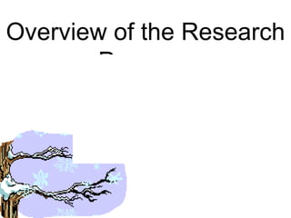 Overview of the Research
       Process
 