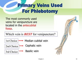 Chapter 2 16
The most commonly used
veins for venipuncture are
located in the antecubital
fossa.
1st Choice Median cubital vein
2nd Choice Cephalic vein
3rd Choice Basilic vein
Which vein is BEST for venipuncture?
 