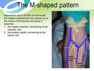 7
Represents about 20-30% of individuals
the median antebrachial vein passes up to
the centre of the forearm and gives 2
branches
1. the median cephalic :connecting to the
cephalic vein,
2. the median basilic: connecting to the
basilic vein
 