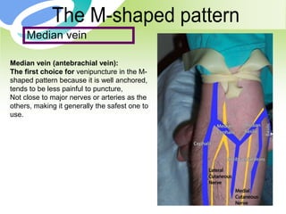 8
Median vein
Median vein (antebrachial vein):
The first choice for venipuncture in the M-
shaped pattern because it is well anchored,
tends to be less painful to puncture,
Not close to major nerves or arteries as the
others, making it generally the safest one to
use.
 