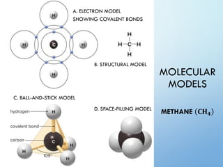 Methane Model Labeled Chapter 2 power point | PDF