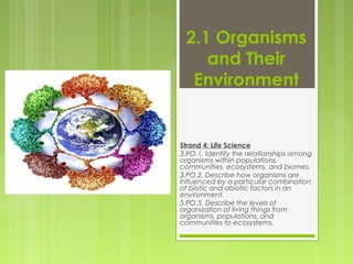 Glencoe Biology Chapter 2 Principles of Ecology | PPT