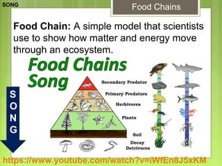 Glencoe Biology Chapter 2 Principles of Ecology | PPT