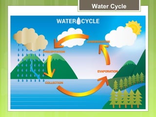 Glencoe Biology Chapter 2 Principles of Ecology | PPT