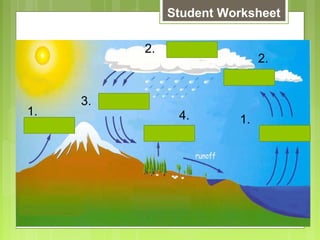 Glencoe Biology Chapter 2 Principles of Ecology | PPT