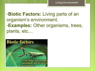 Glencoe Biology Chapter 2 Principles of Ecology | PPT