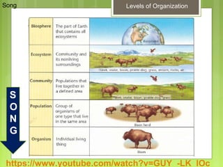 Glencoe Biology Chapter 2 Principles of Ecology | PPT