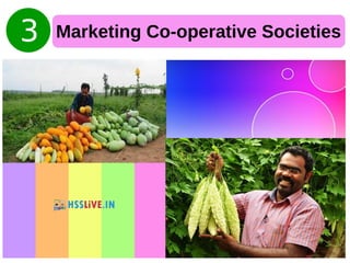 Marketing Co-operative Societies
 