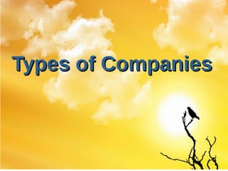 Types of CompaniesTypes of Companies
 