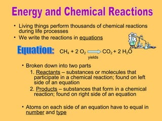 • Living things perform thousands of chemical reactions
during life processes
• We write the reactions in equations
CH4 + 2 O2

CO2 + 2 H2O
yields

• Broken down into two parts
1. Reactants – substances or molecules that
participate in a chemical reaction; found on left
side of an equation
2. Products – substances that form in a chemical
reaction; found on right side of an equation
• Atoms on each side of an equation have to equal in
number and type

 