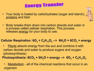 • Your body is fueled by carbohydrates (sugar and starch),
proteins and fats!
• Body breaks them down into carbon dioxide and water in
a process called cellular respiration. This process
releases energy for your body to use.
Cellular Respiration: 6O2 + C6H12O6 --> 6H2O + 6CO2 + energy
• Plants absorb energy from the sun and combine it with
carbon dioxide and water to produce sugars and oxygen
(photosynthesis)
Photosynthesis: 6CO2 + 6H2O + energy --> 6O2 + C6H12O6
• Metabolism - all of the chemical reactions that occur in an
organism

 